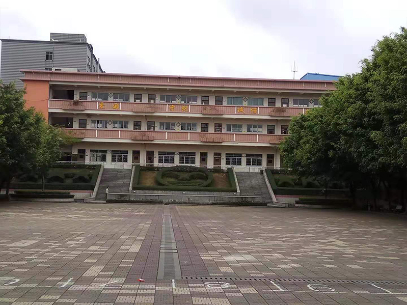 新雅新世纪实验学校